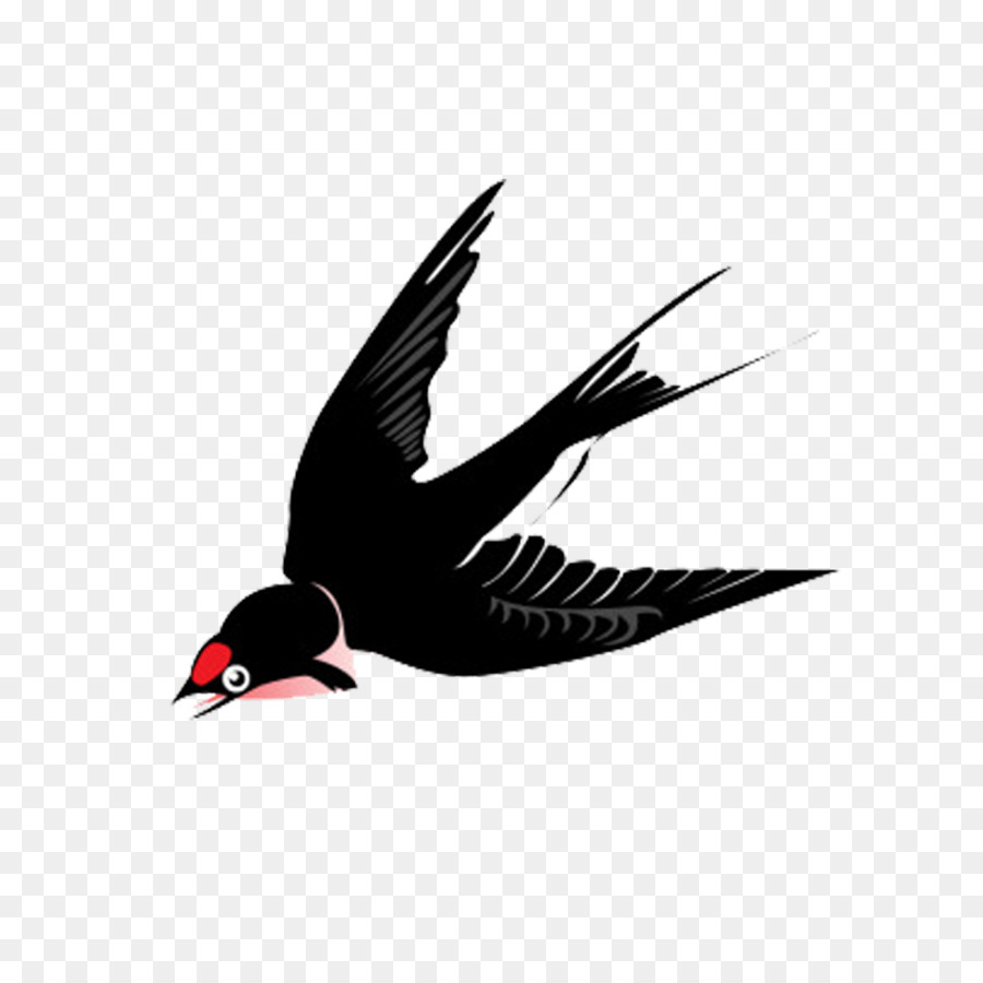 Rondine Uccello Fotografia, Illustrazione - Volo di Rondine nero pull materiale