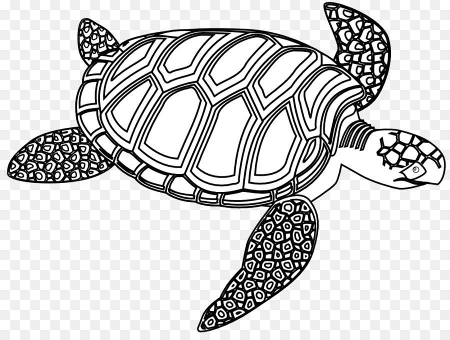 Tartaruga di mare in bianco e Nero Cavalluccio marino Clip art - Gratuito Tartaruga Clipart