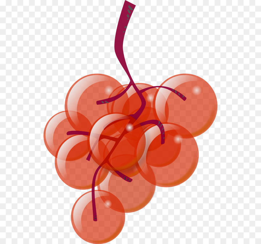 Weißwein-Trauben Clip art - rote Weintrauben Bilder