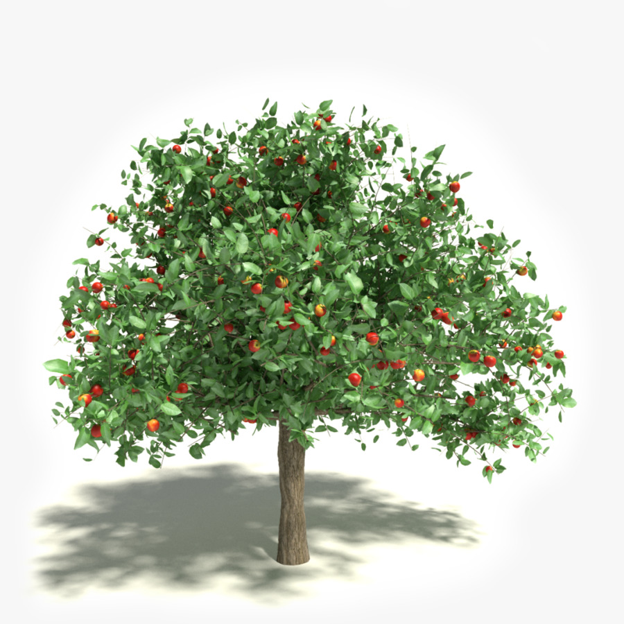 Apple Weiß Transparent Stock-Fotografie-Baum Clip art - Apfelbaum