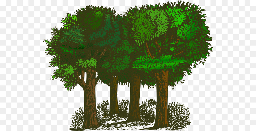 Baum Strauch Frei Inhalt Clip art - Grün Wald Bäume Clipart