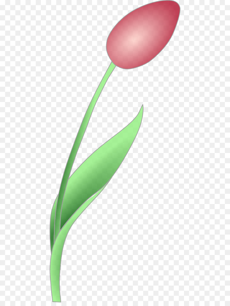 Tulip Clip nghệ thuật - hình ảnh của tulip