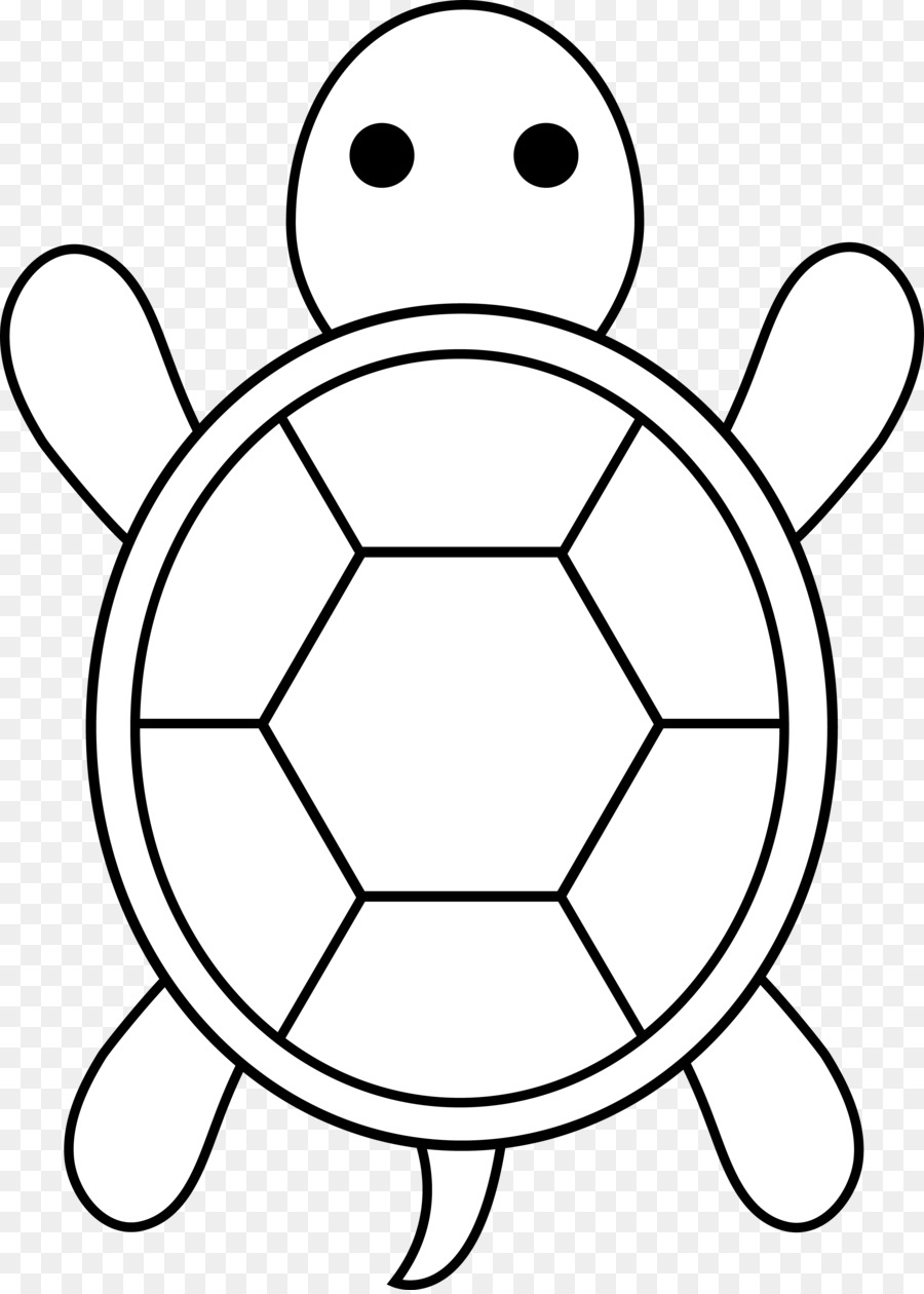 Hướng dẫn vẽ Vẽ con rùa 3D với sketchup