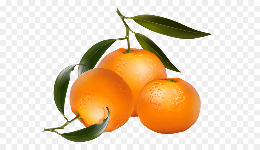 Zitrone, Orange Clip-art - Bilder Von Orangen