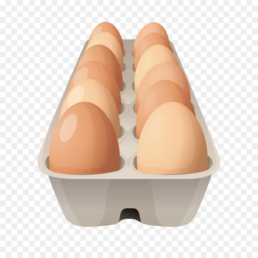 Colazione di Uova di cartone Clip art - Vettore di una scatola di uova