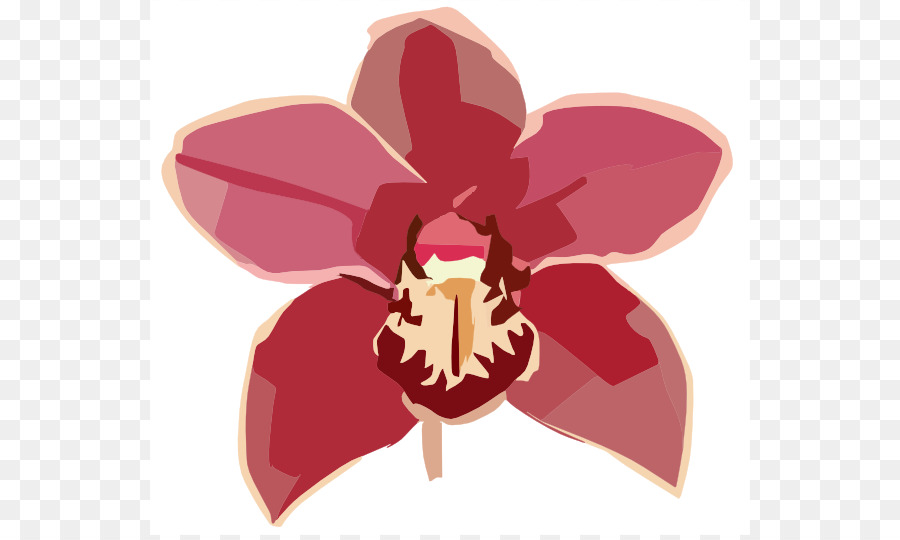 Orchideen Kostenlose Inhalte Flower Clip art - columbian Orchidee cliparts