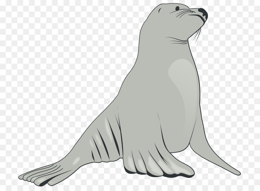 Sea lion Elephant seal Clip-art - Nilpferd Kunst