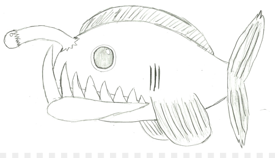 Disegno Di Angelo Coda Di Rospo Schizzo - come disegnare un pesce