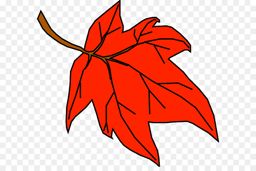 Foglia d'autunno a colori, Maple leaf Clip art - cartoon foglia