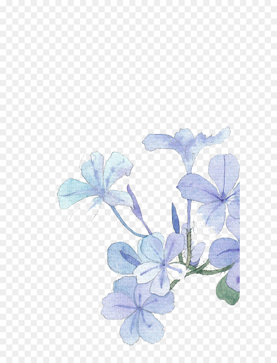 Blu dipinto ad Acquerello Fiore - acquerello fiori