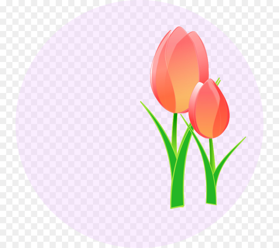 Chứng Tulip Hoa Clip nghệ thuật - Nghệ Thuật Hoa Tulip
