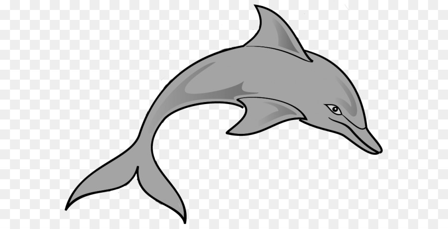 Spinner dolphin Diving Dolphins Alles über Delfine Clip-art - Spinner Dolphin ClipArts