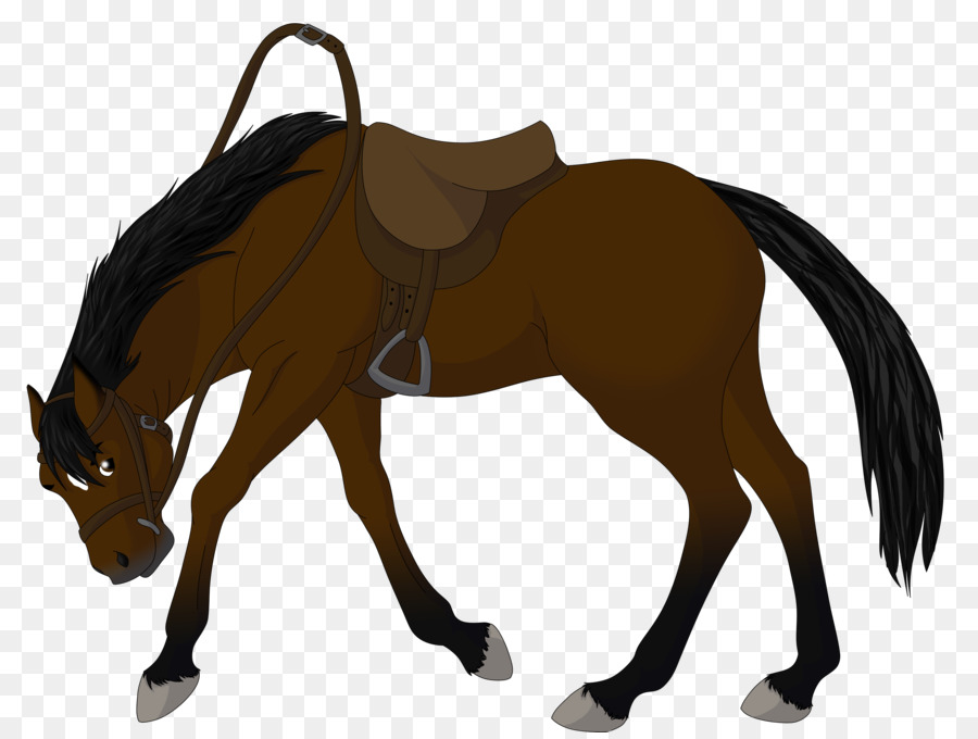 Mustang Miles City Controtendenza Cavallo Vendita Stallone Clip art - taglio di immagini a cavallo
