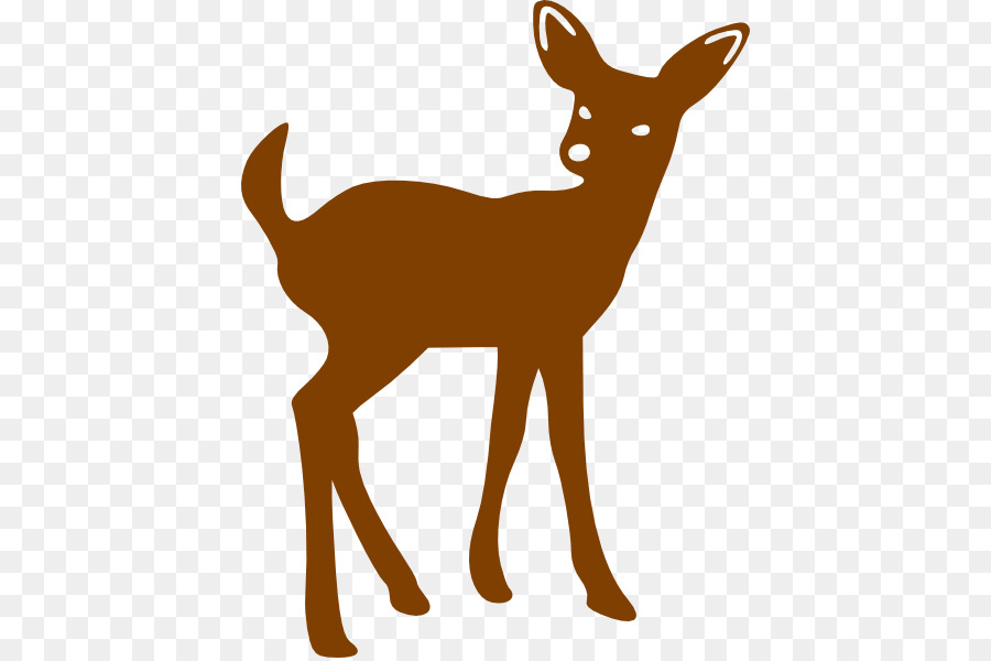 Deer Wildlife