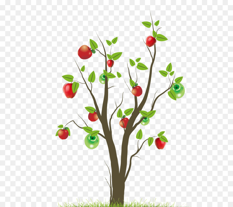 Albero Clip art - 2017 Red verde mela apple