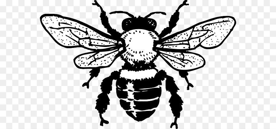 Europea scuro bee Honey bee Clip art - ape silhouette clipart