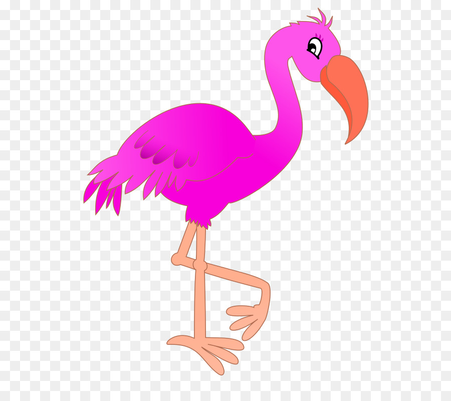 Flamingo Cartoon Clip art - fenicottero rosa clipart