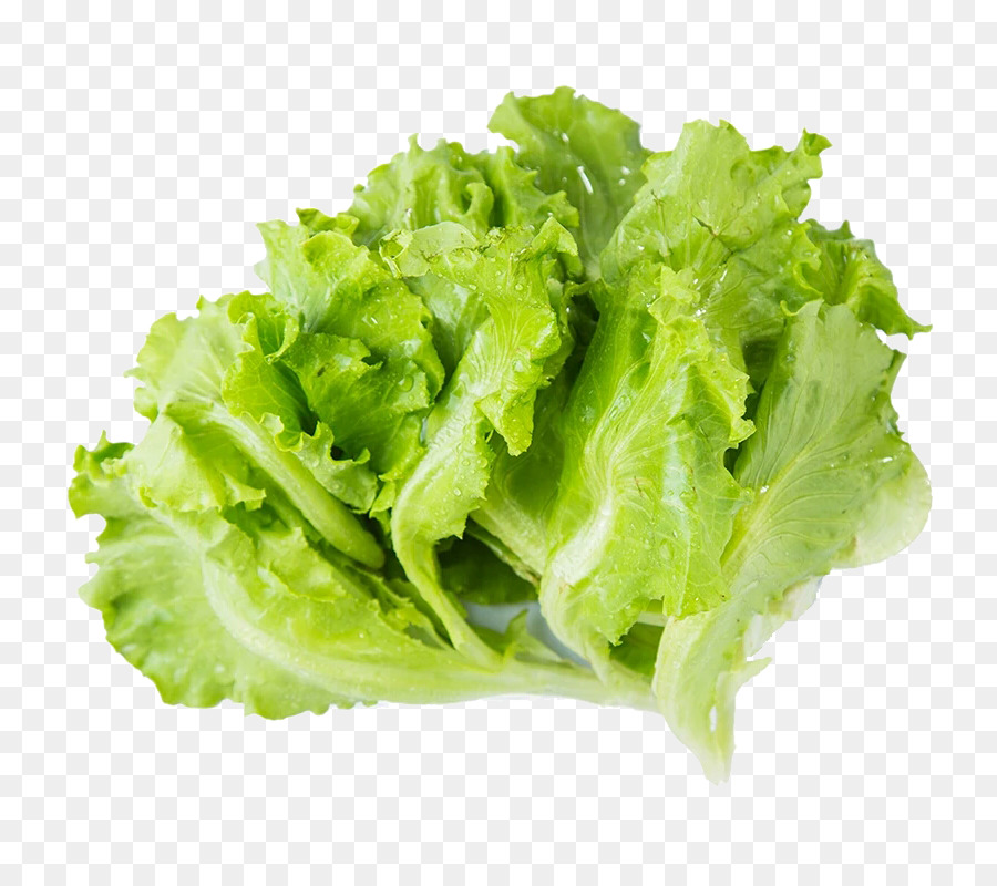 Hot pot Eisberg salatblatt Gemüse Wachsen Licht - Kostenlose kreative pull-Salat