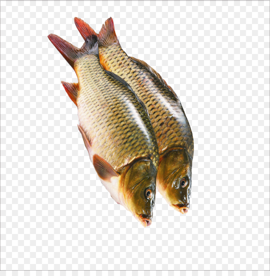 Kipper Sashimi, Pesce Crudo - Il pesce crudo
