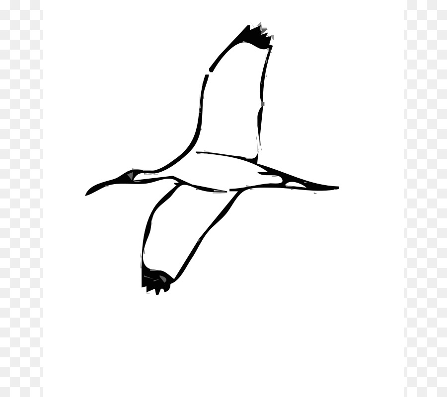 Bird Line Drawing
