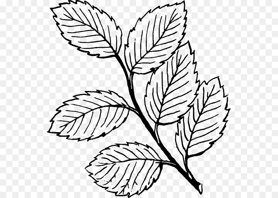Leaf Line clipart - Baum gezeichnet Umriss
