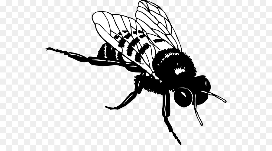 European dark bee-Schwarze und weiße Hummel clipart - Biene silhouette cliparts
