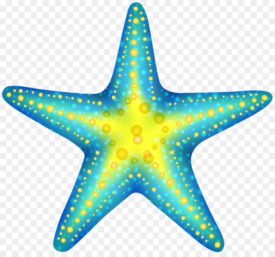 9,200+ Starfish Sketch Illustrations, Royalty-Free Vector Graphics & Clip  Art - iStock