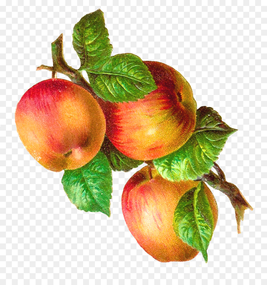 Macintosh di Apple, stile Retrò Clip art - pinterest apple clipart