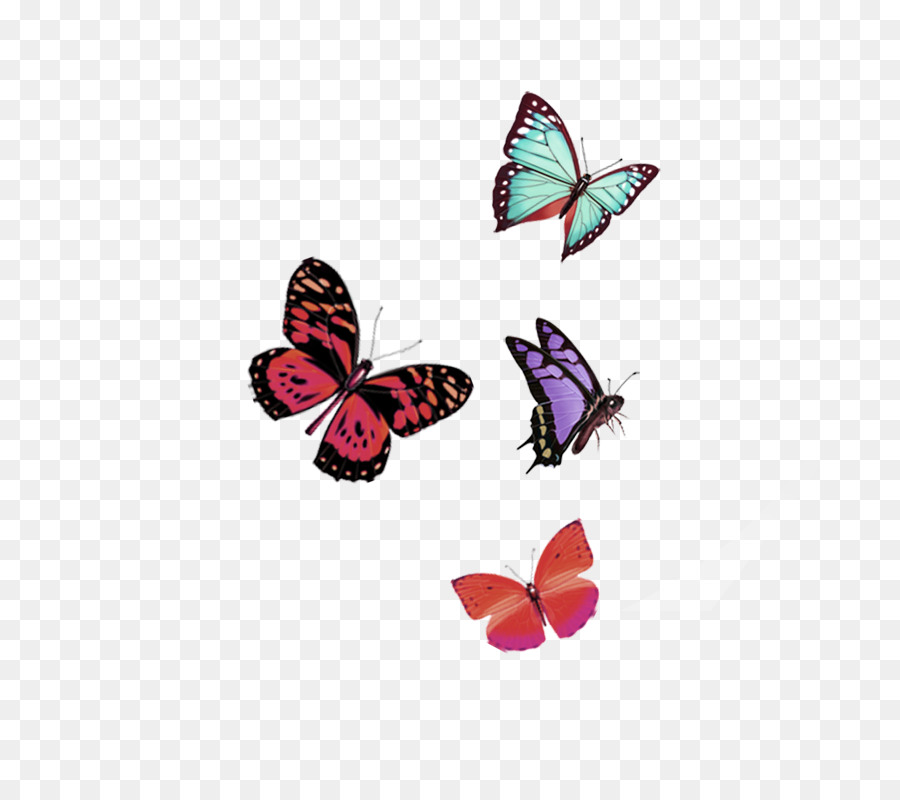 Schmetterling Computer Datei Herunterladen - Rot Traum-Schmetterling Schwimmende Material
