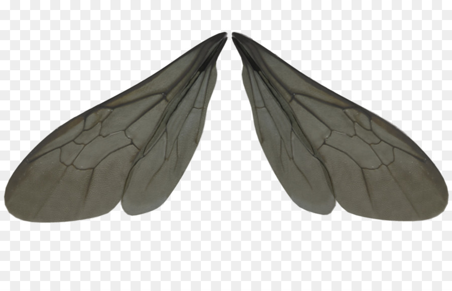 Bed Cartoon png download - 1024*639 - Free Transparent Insect Wing png  Download. - CleanPNG / KissPNG