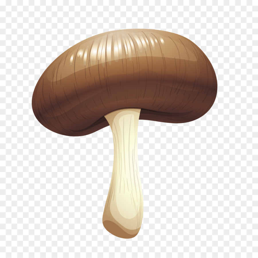 Fungo Designer - Vettoriale realistico funghi