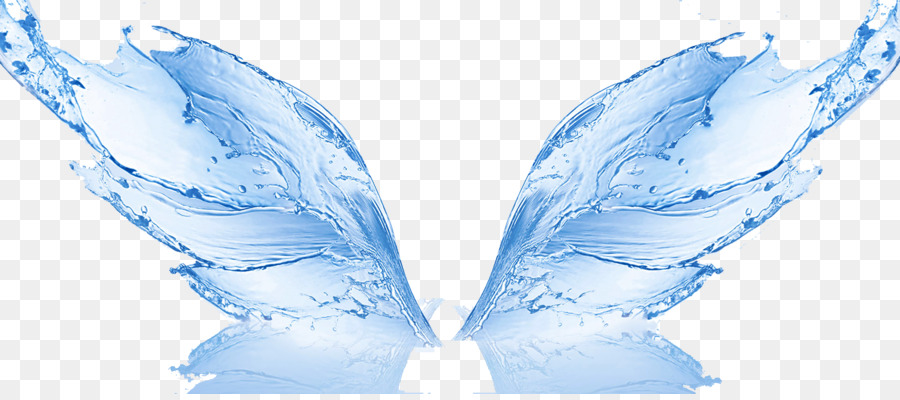 Wasser Filter Umkehrosmose-Membran der Wasseraufbereitung - Freies Wasser butterfly effect ziehen Sie die png-Bild