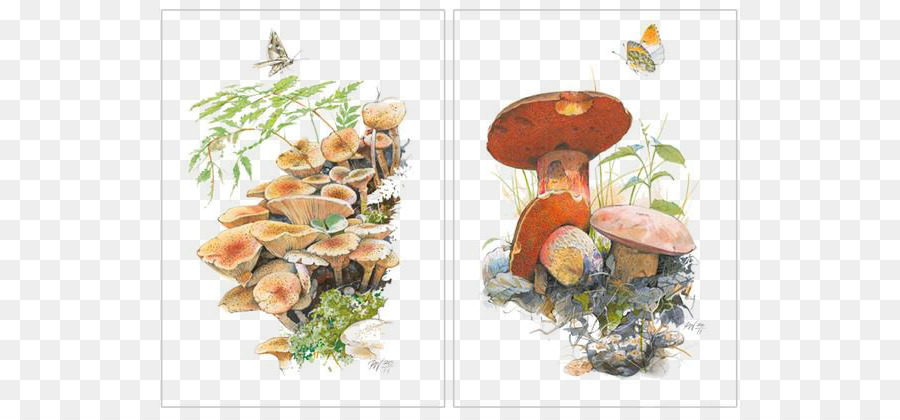Cartoon Illustrazione Illustrator - Dipinto a mano cartoon funghi immagine materiale