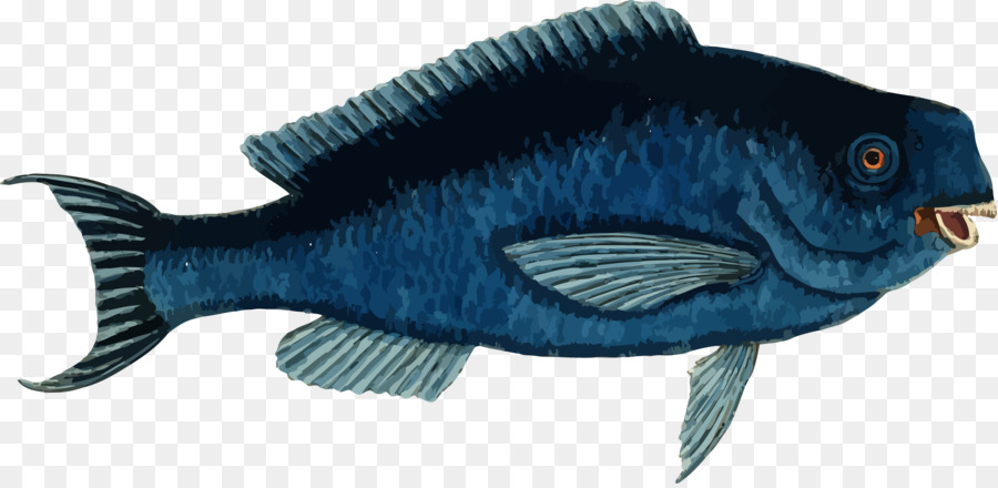 Màu xanh có Clip nghệ thuật - véc tơ cá