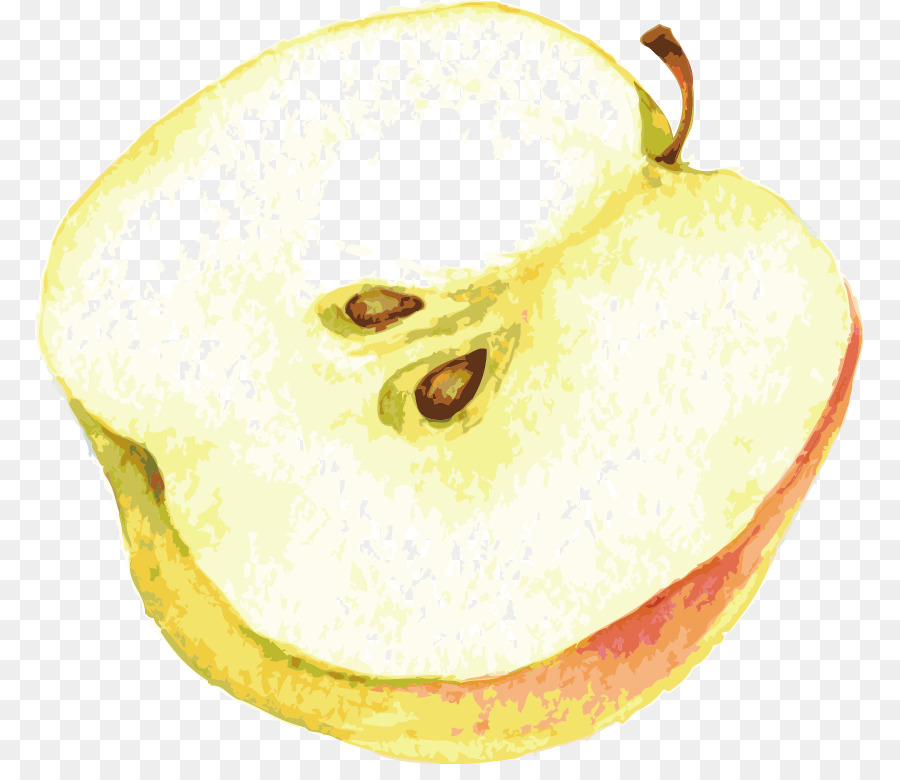 Disegno pittura ad Acquerello Illustrazione - Vettoriali, acquerello realistico taglio apple