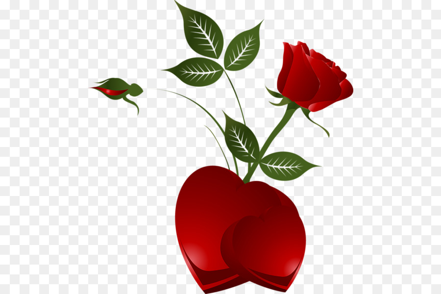 Trái tim Ngày Valentine Rose Clip nghệ thuật - tim ảnh với nền trong suốt