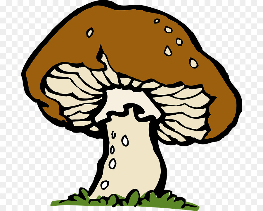 Miele fungo Fungo Clip art - disegnati a mano funghi