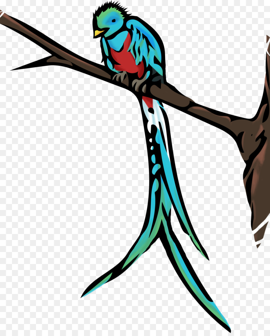 Guatemala Vogel quetzal Clip-art - niedliche cliparts quetzal