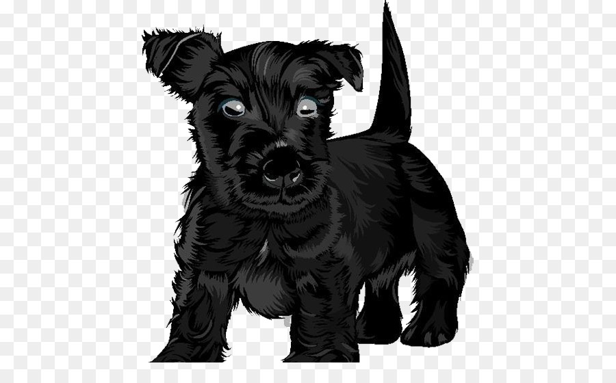 Scottish Terrier Terrier Nero russo Puppy Clip art - Colore nero cucciolo