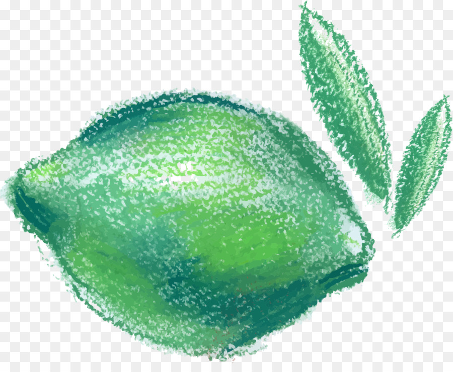 Frutta Gravidanza Cibo Di Limone - Dipinto a mano di limone verde