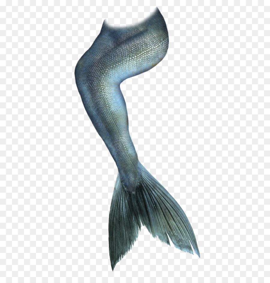 Mermaiding Coda Di Disegno - coda di pesce