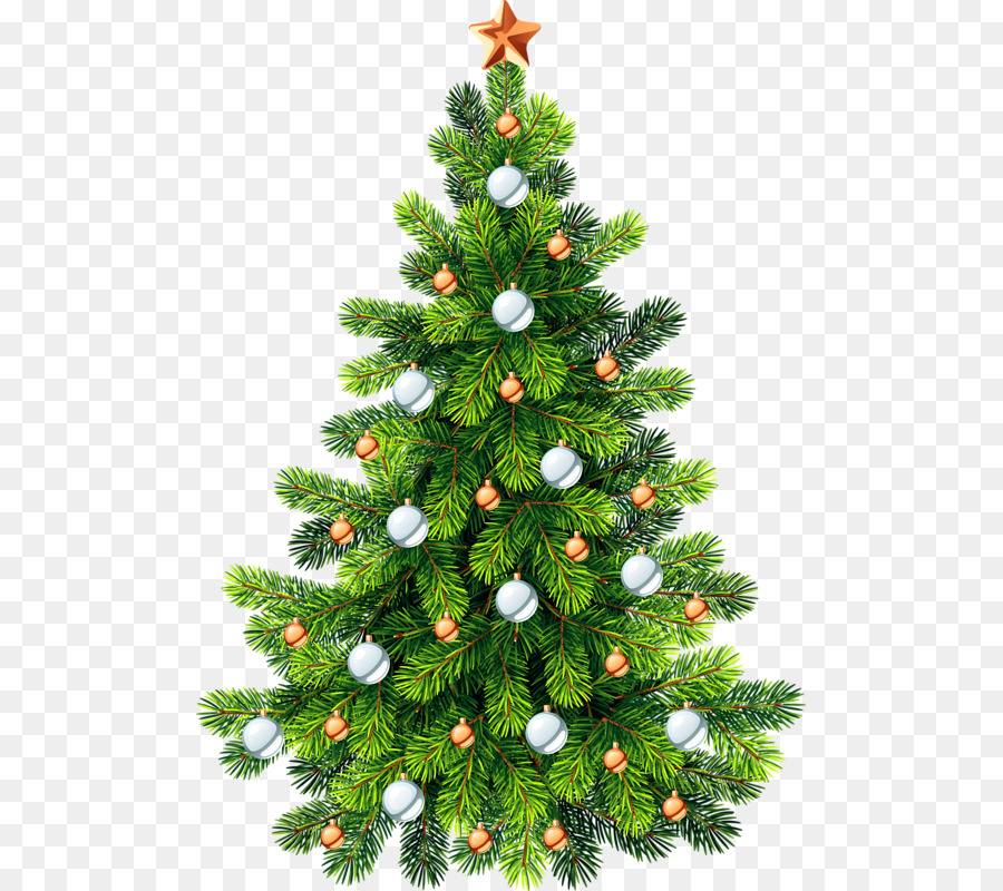 Edel-Tanne Weihnachtsbaum - Grüner Weihnachtsbaum