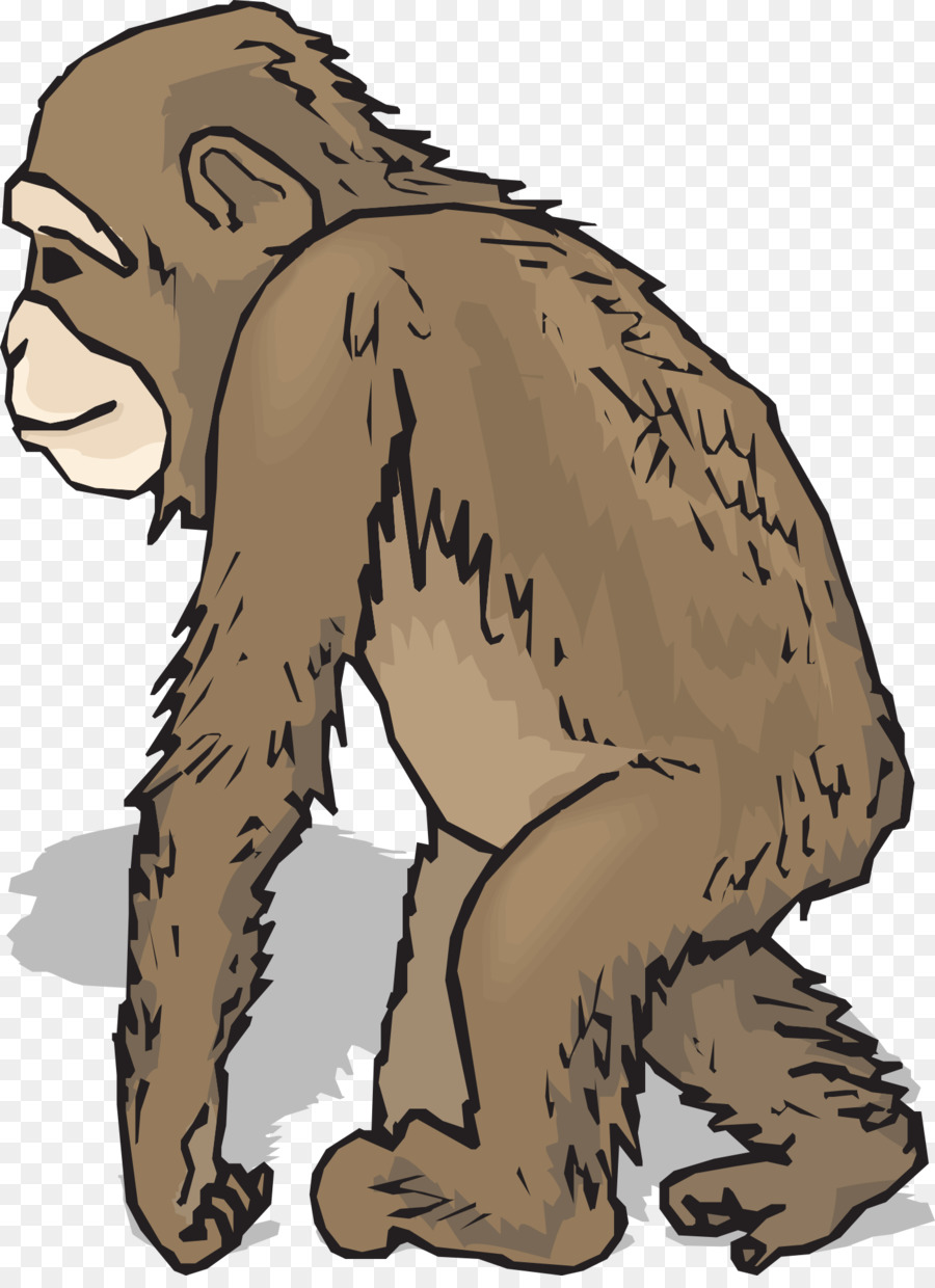 Monkey Cartoon png download - 1407*1920 - Free Transparent Chimpanzee png  Download. - CleanPNG / KissPNG