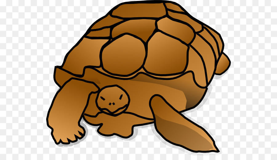 Tartaruga verde Rettile Cartoon Clip art - tartaruga clipart
