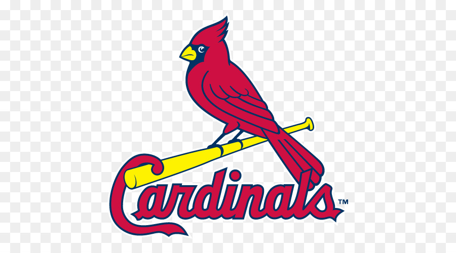 St. Louis Cardinals MLB Palm Beach Cardinals di St. Louis Blues - mlb campo clipart