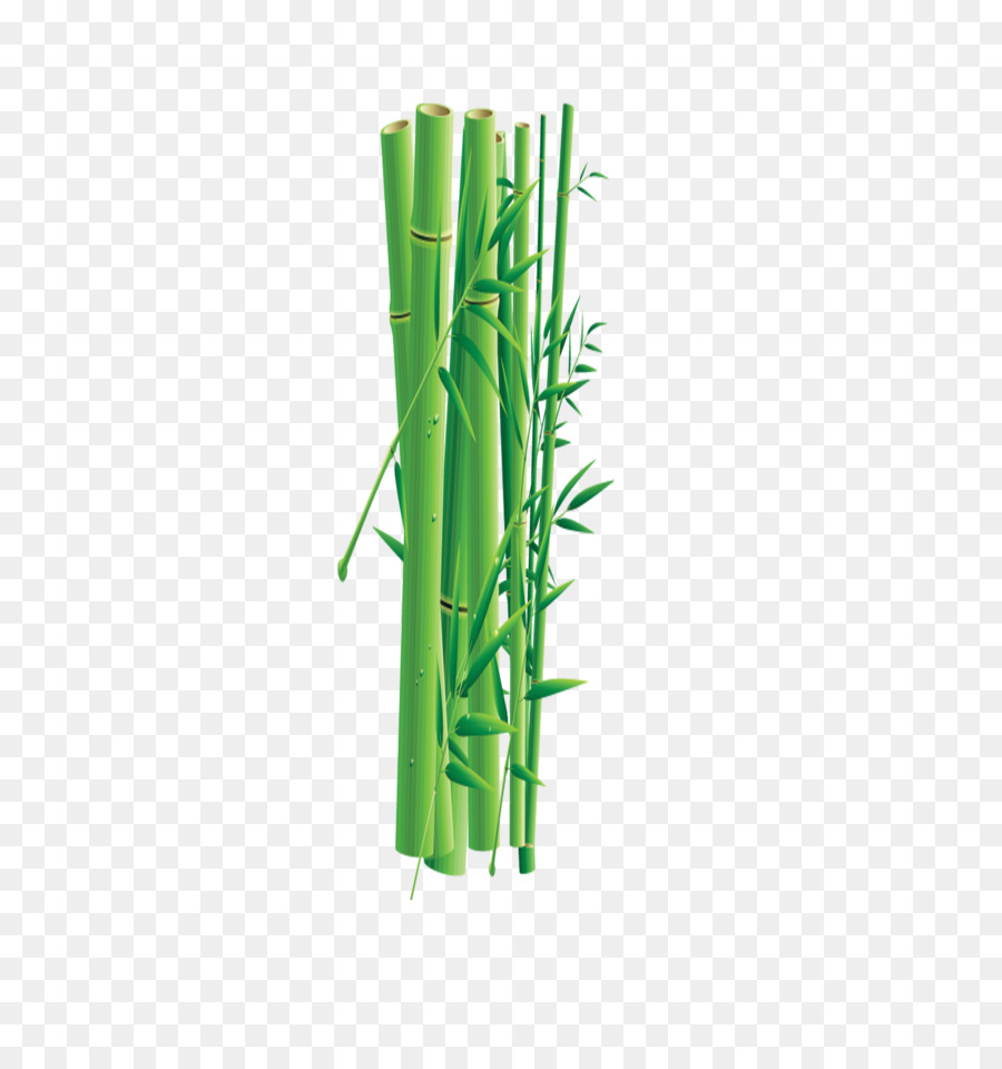 Bambù Verde Icone Del Computer - Verde, foglie di bambù