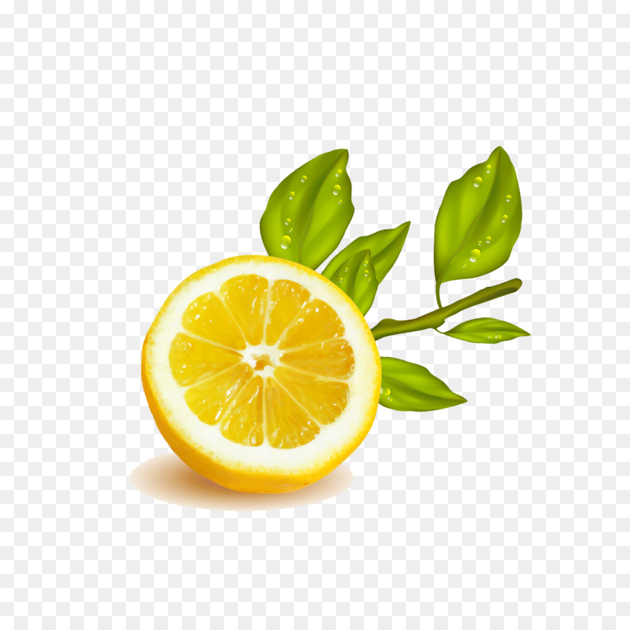 Zitronen-Limetten-Illustration - schneiden Sie die Zitrone gelb