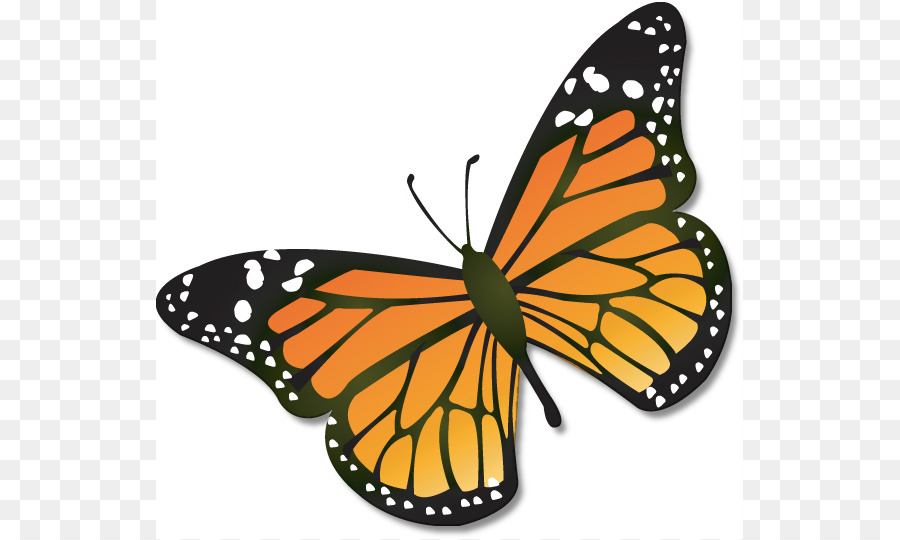Monarch Butterfly Clip Art - Tier Migrations ClipArts