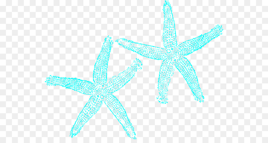 Turchese Starfish Clip art - Turchese Clipart