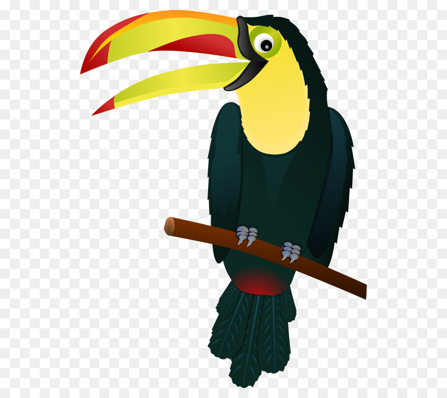 Vogel Keel-billed toucan Schlange-clipart - Big Bird ClipArt